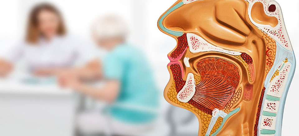 Gastroenterology